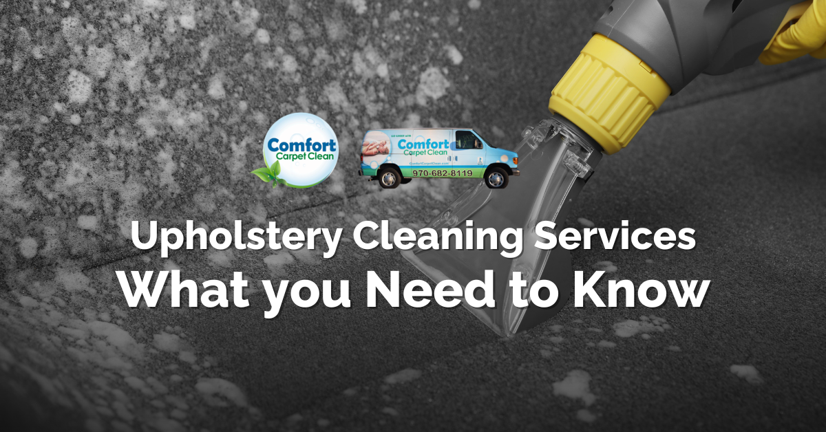 Upholstery Cleaning Services – What you Need to Know
