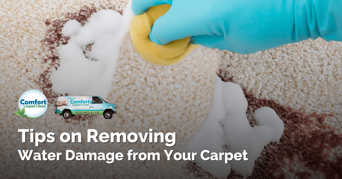 Tips on Removing Water Damage from Your Carpet