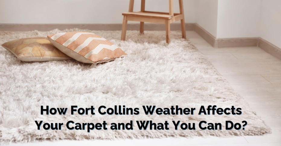 How Fort Collins Weather Affects Your Carpets and What You Can Do