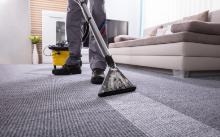 That Stubborn Spot on the Carpet? Let’s Talk Fort Collins Stain Removal!