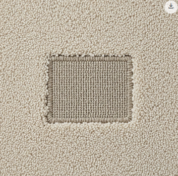 Bring New Life to Your Floors: Carpet Stretching in Fort Collins & Carpet Cleaning in Wellington