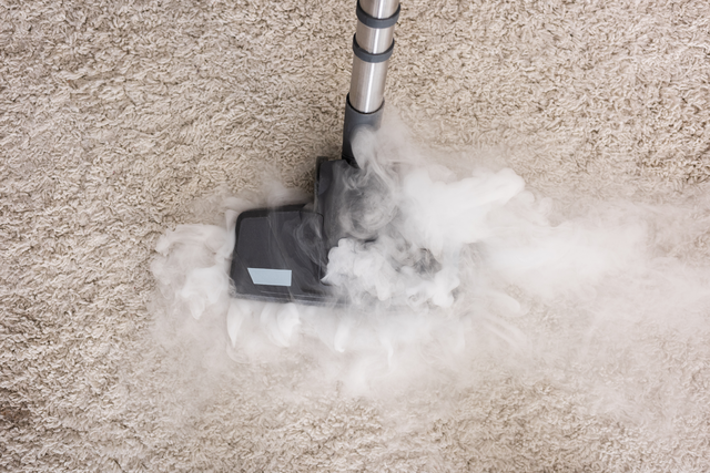 Lumps, Bumps, and Stains: Why Your Carpet Needs More Than Just a Vacuum