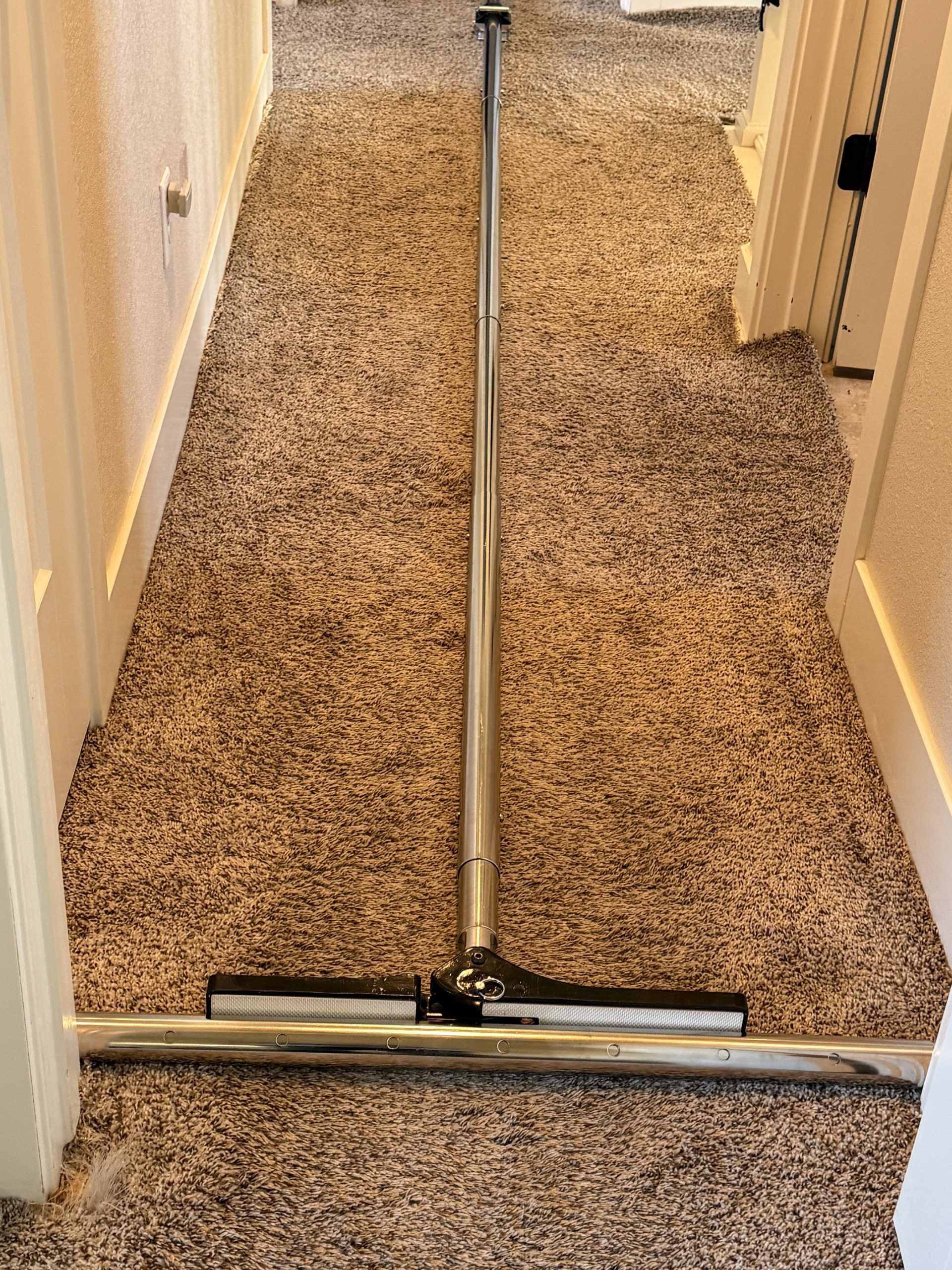 Best Rated Carpet Cleaner Near Me & Carpet Stain Removal in Fort Collins | Comfort Carpet Clean